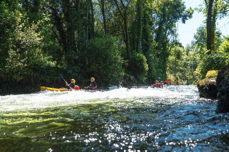 Viana do Castelo: Kayak Adventure on the Lima River - Practical Details and Logistics