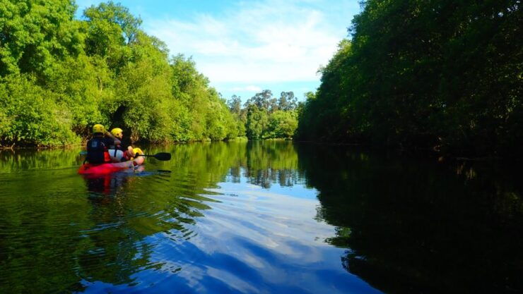 Viana Do Castelo: Kayak Tour at Lima River - Activity Details