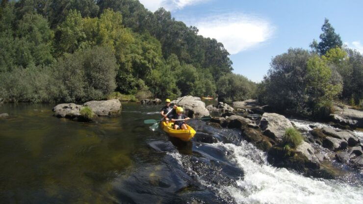 Viana Do Castelo: Kayak Tour at Lima River - Experience Highlights