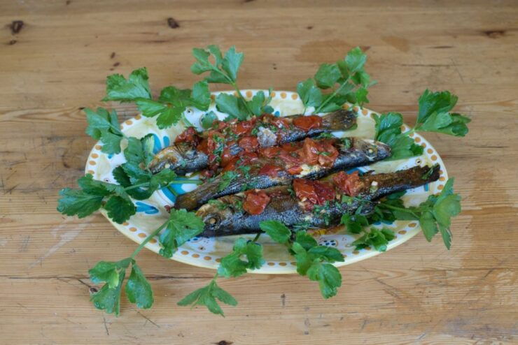 Viareggio: Cooking Class at a Locals Home - Instructor and Group Type