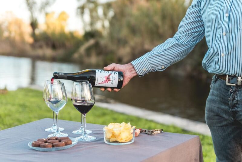 Viareggio: Marshes Electric Boat Tour with Wine Tasting - The Itinerary in Detail: What to Expect