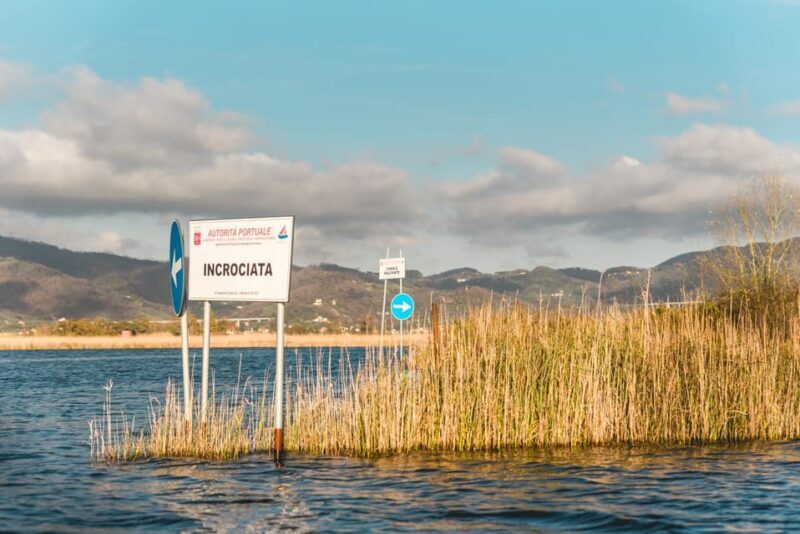 Viareggio: Marshes Electric Boat Tour with Wine Tasting - Who Will Love This Experience?