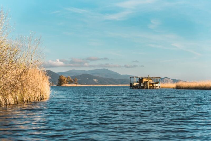Viareggio: Marshes Electric Boat Tour with Wine Tasting - Frequently Asked Questions