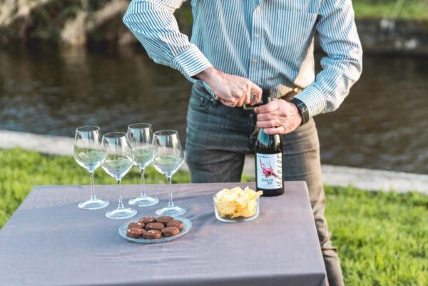 Viareggio: Marshes Electric Boat Tour With Wine Tasting - Booking Information