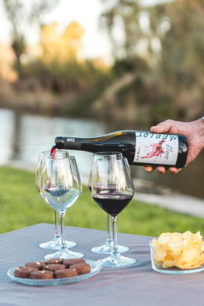 Viareggio: Marshes Electric Boat Tour With Wine Tasting - What to Bring