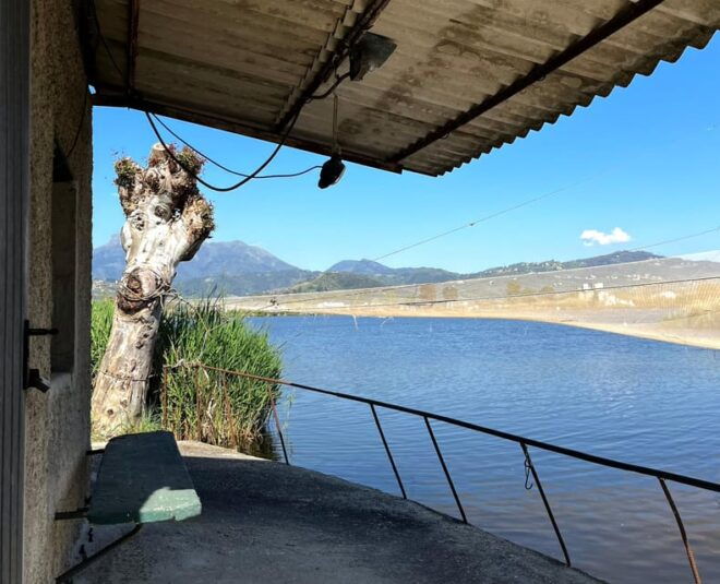 Viareggio: Natural Reserve Sunset Canoe Tour With Aperitif - Inclusions and Exclusions