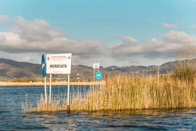 Viareggio: Natural Reserve Sunset Canoe Tour With Aperitif - Preparation and Restrictions