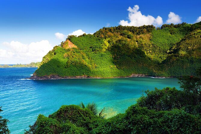 Viator Exclusive: Maui Tropical Rainforest Small Group Tour - Who Is This Tour Best For?