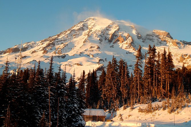 Viator Exclusive Tour - Mt. Rainier Day Trip From Seattle - Good To Know