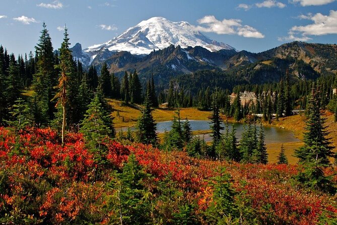 Viator Exclusive Tour - Mt. Rainier Day Trip From Seattle - Communication and Weather Issues