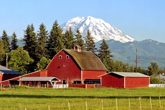 Viator Exclusive Tour - Mt. Rainier Day Trip From Seattle - Excellent Organization and Guidance