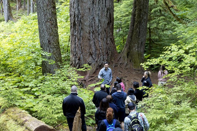 Viator Exclusive Tour - Mt. Rainier Day Trip From Seattle - Common Questions