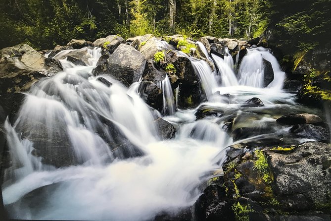 Viator Exclusive Tour - Mt. Rainier Day Trip From Seattle - The Sum Up