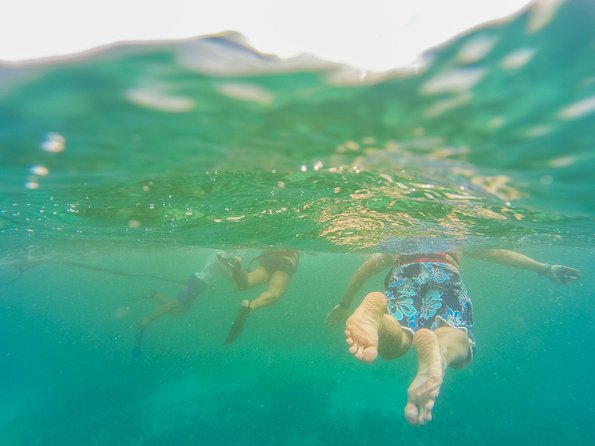 Viator Exclusive: Tulum Ruins, Reef Snorkeling, Cenote and Caves - Inclusions and Exclusions