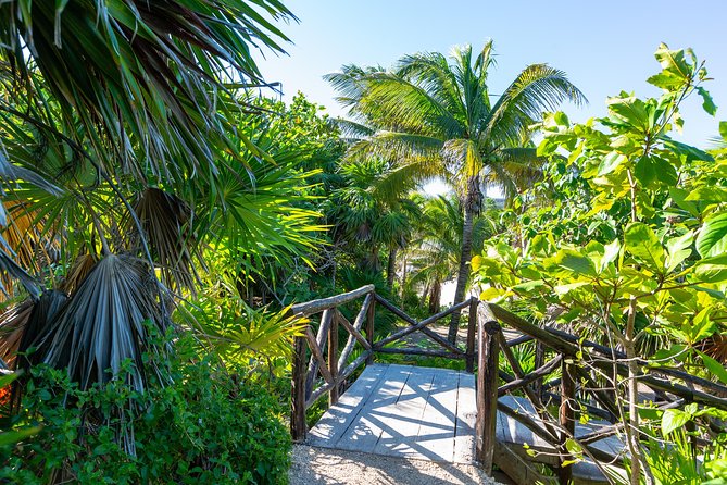 Viator Exclusive: Tulum Ruins, Reef Snorkeling, Cenote and Caves - Positive Feedback on Guides