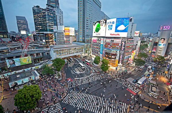 Vibrant Private Walking Tour in Shibuya, Tokyo - Frequently Asked Questions