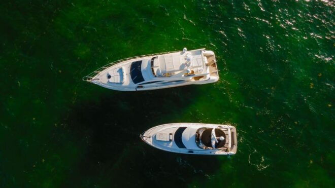 Vice Yacht Rentals of Bill Bird Marina - Description