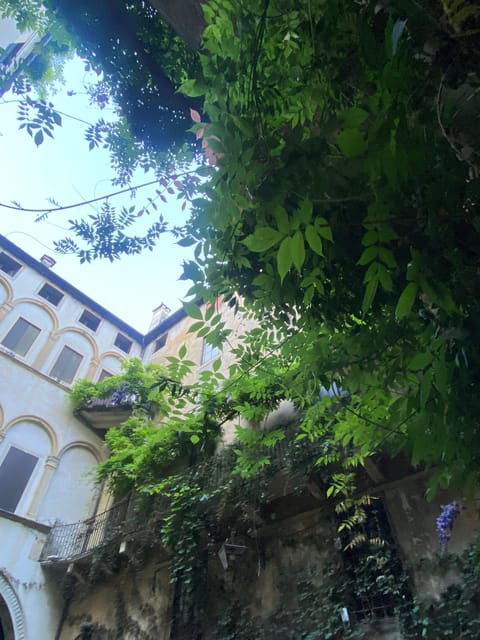 Vicenza: a Guided Walking Tour. Highlights & Hidden Gems - Participant Information