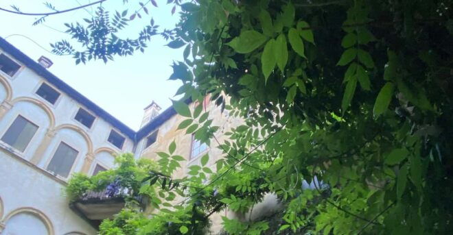 Vicenza: a Guided Walking Tour. Highlights & Hidden Gems - Discovering Vicenzas Rich History