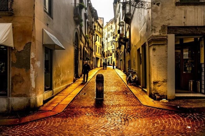 Vicenza Full-Day Tour From Milan - Inclusions