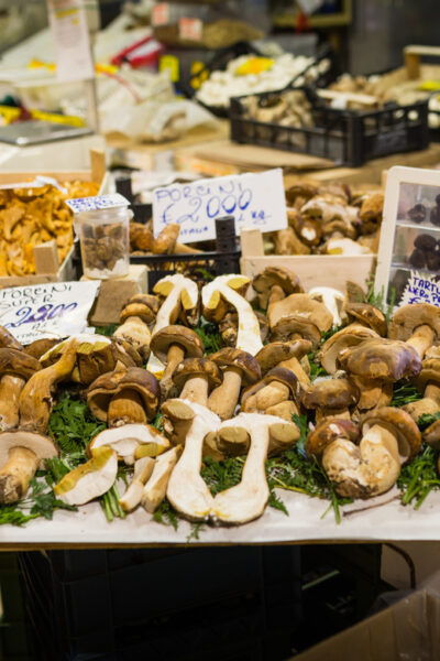 Vicenza: Market Tour and Meal at a Locals Home - Tips for a Great Experience