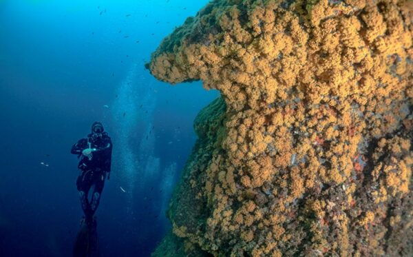 Vico Equense: Course Advanced Open Water Diver - Frequently Asked Questions