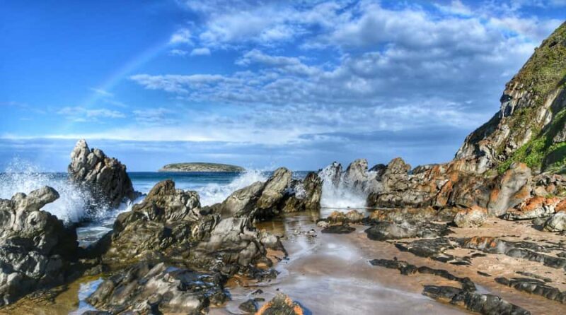 Victor Harbor and Fleurieu Peninsula Tour - Good To Know