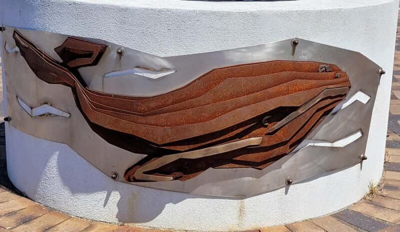 Victor Harbor: Shipwrecks & Settlers Walking Tour - Good To Know