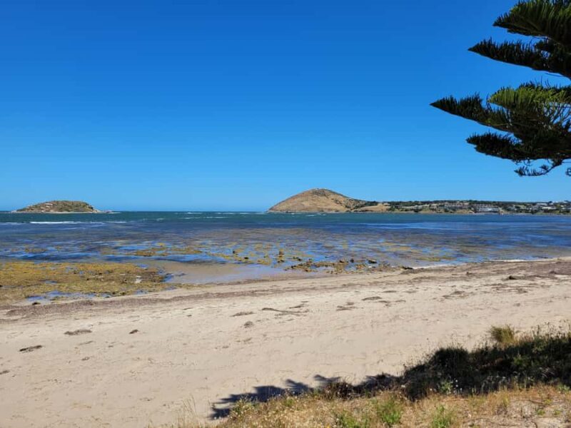 Victor Harbor: Shipwrecks & Settlers Walking Tour - A Deep Dive into the Victor Harbor Shipwrecks & Settlers Tour
