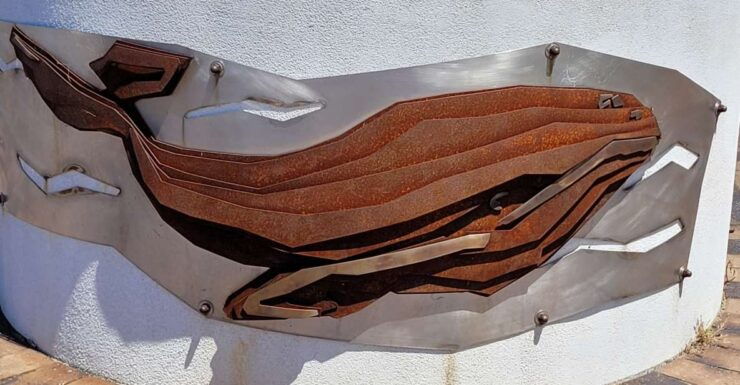 Victor Harbor: Stories of Shipwrecks & Settlers Walking Tour - Activity Details