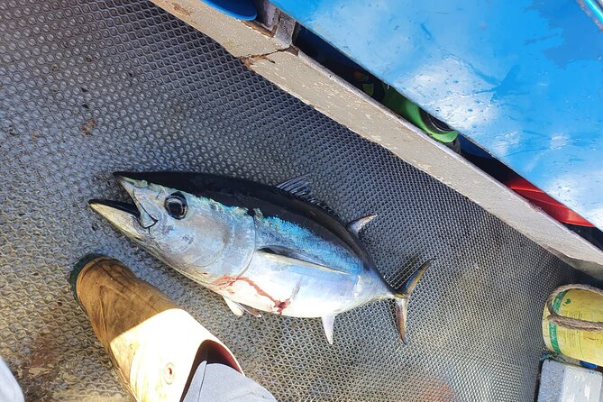 Victor Harbour Bluefin Tuna Catch and Dine - Additional Information