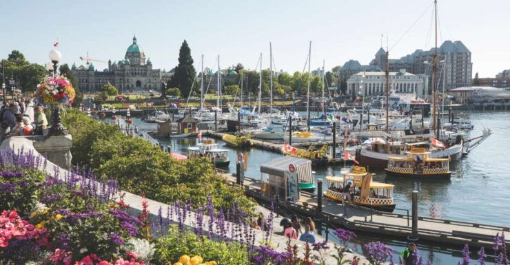 Victoria: 2.5-hour Tips-Based City Walking Tour - Tour Details