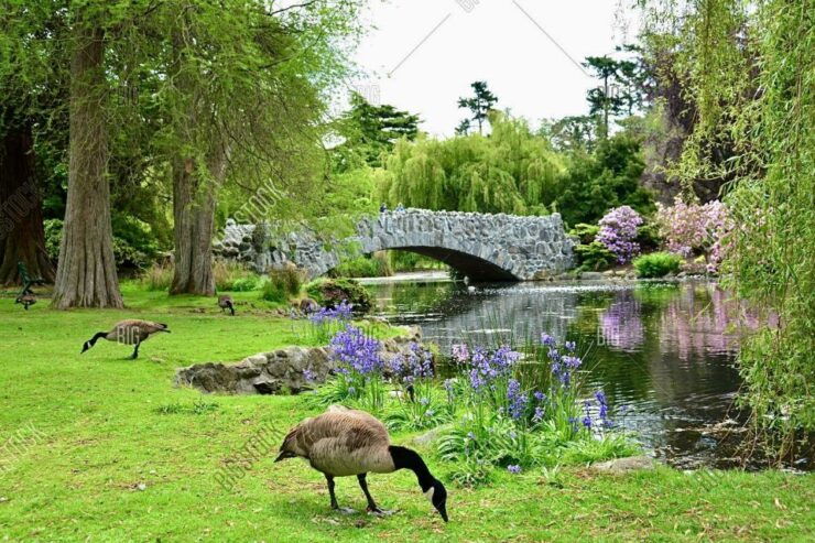 Victoria: 2-Hour History and Highlights Bike Tour - Tour Overview