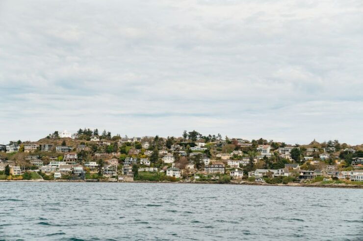 Victoria: 3-Hour Whale Watching Tour in a Zodiac Boat - Experience Highlights