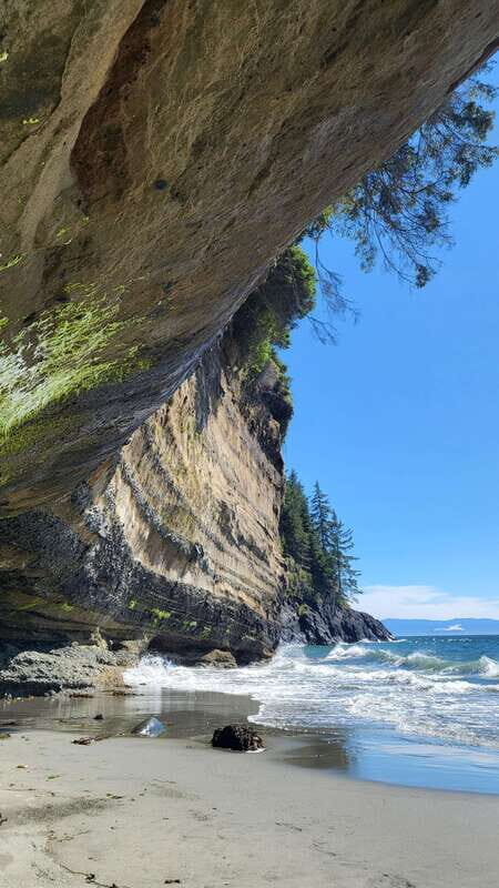 Victoria: 4-Day Tofino and Port Renfrew Tour with Flights - Who Should Consider This Tour?