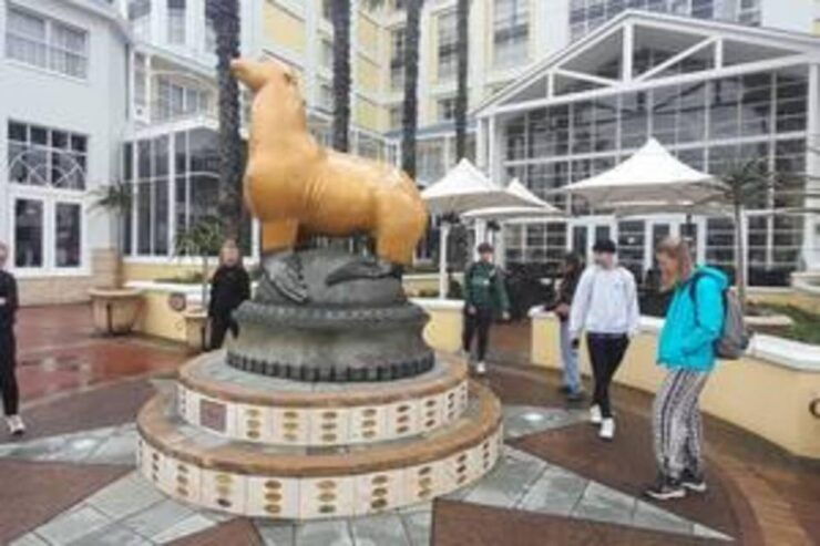 Victoria and Alfred Waterfront Walking Tour - Tour Details