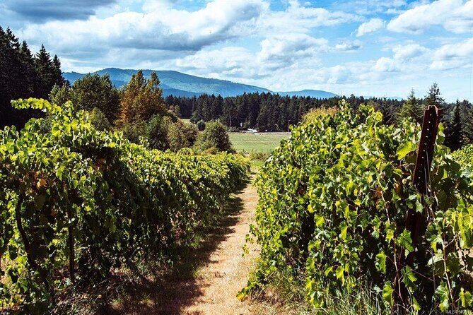 Victoria Bachelorette Full Day Guided Wine Tour with 4 Wineries - FAQ