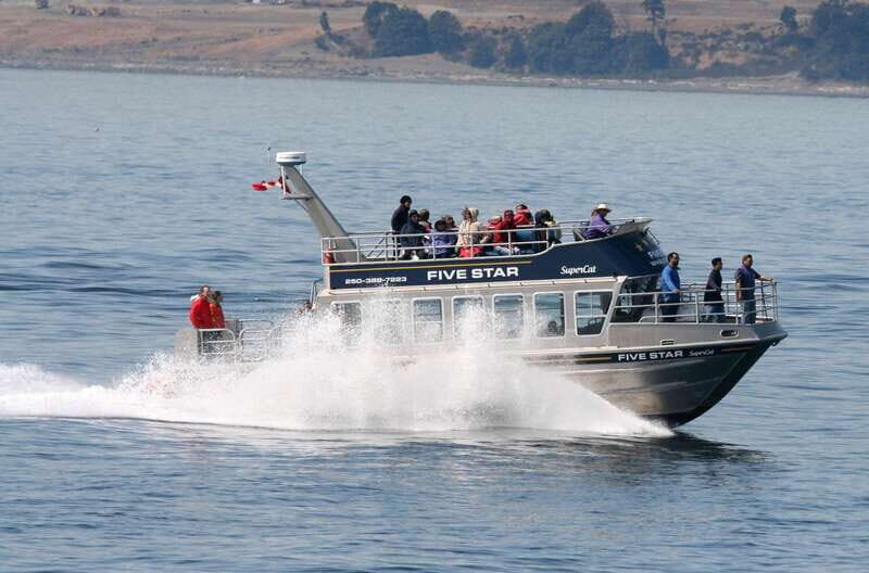 Victoria BC: 3 Hour Expedition Catamaran Whale Watching Tour - An In-Depth Look at the Victoria BC Whale Watching Tour