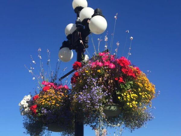 Victoria, BC: City Tour and Butchart Gardens Combo Tour - Restrictions and Requirements