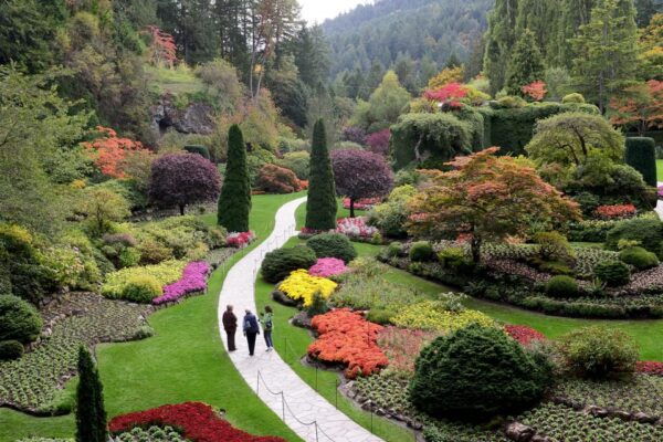 Victoria, BC: City Tour and Butchart Gardens Combo Tour - Customer Feedback