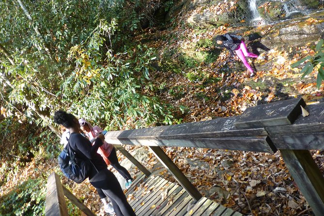 Victoria Bryant State Park Hike With Wine Tasting - Park Selection Options