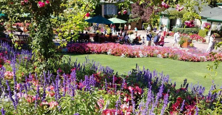 Victoria & Butchard Gardens Private Tour From Vancouver - Experience Highlights