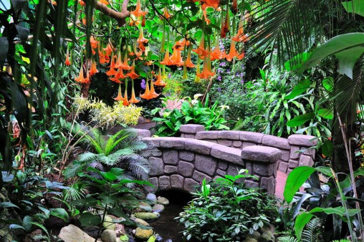 Victoria: Butterfly Gardens Admission Ticket - Ticket Details