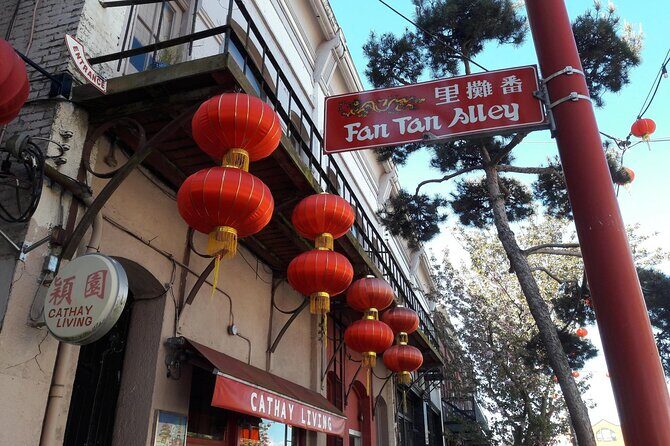 Victoria City 3 Hour Private Tour (1-6 pax) - Why Choose a Private Tour in Victoria?