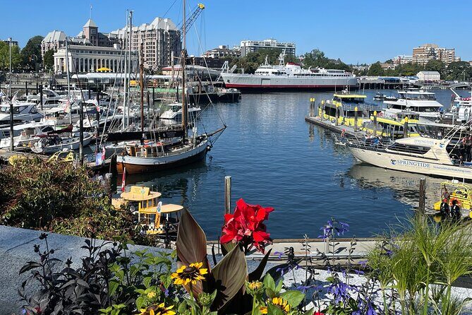 Victoria City and Butchart Gardens Private Tour - The Practical Aspects: Transportation, Timing, and Group Dynamics