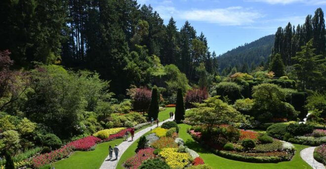 Victoria: City Highlights and Butchart Gardens Tour - Experience Highlights