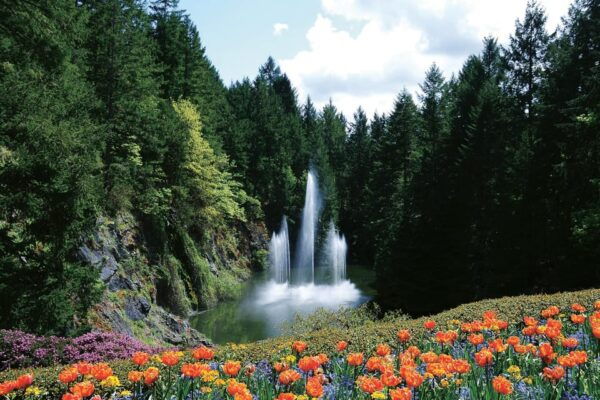 Victoria: City Highlights and Butchart Gardens Tour - Victorias Chinatown Discovery