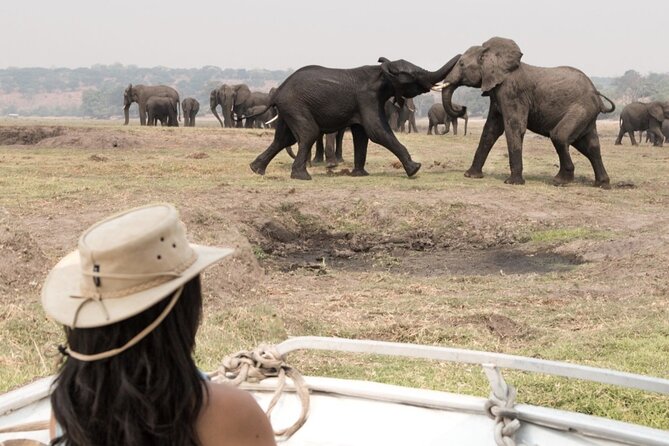 Victoria Falls Rhino Encounter Game Drive! - Wildlife Encounters