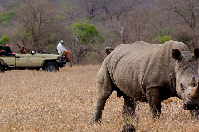 Victoria Falls Rhino Encounter Game Drive! - Inclusions and Exclusions