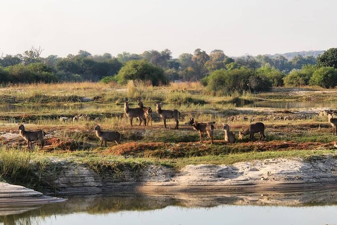 Victoria Falls Safari Tour Full Day - Inclusions and Exclusions